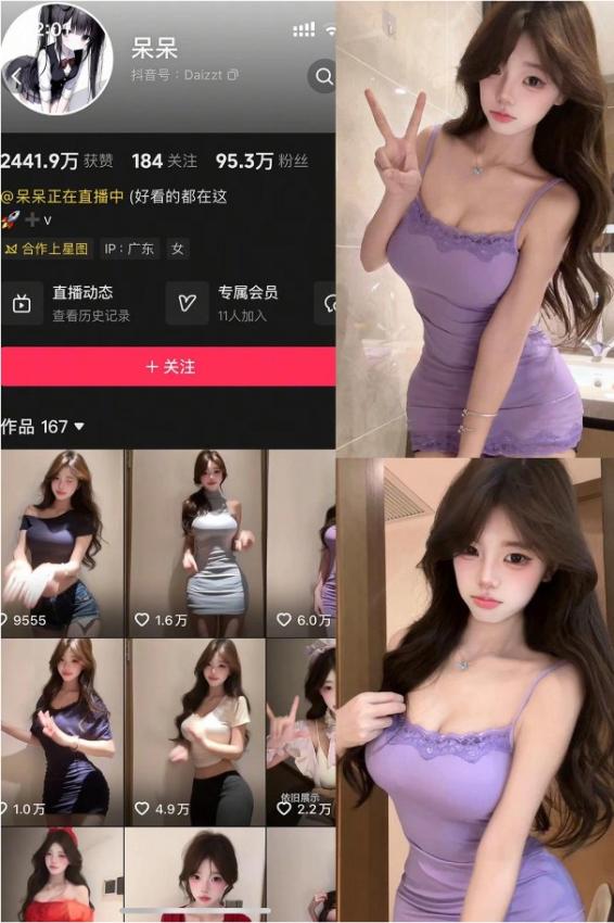 呆呆 – 岛遇发布的图片作品和视频[持续更新]