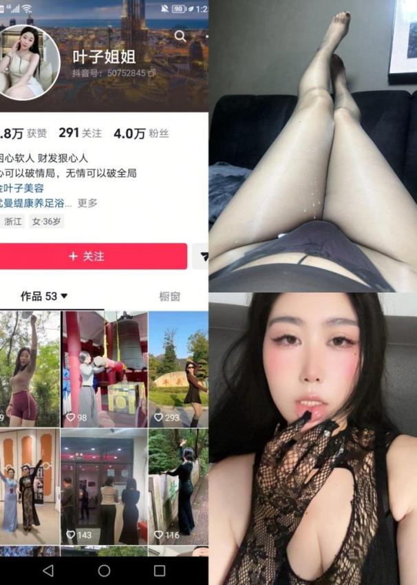 叶子姐姐-蟒纹渔网袜[12P2V]